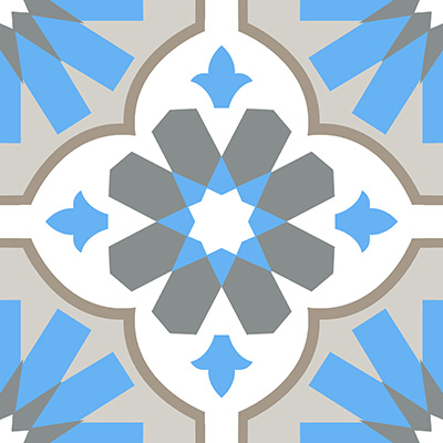 Gạch bông men VGT2881